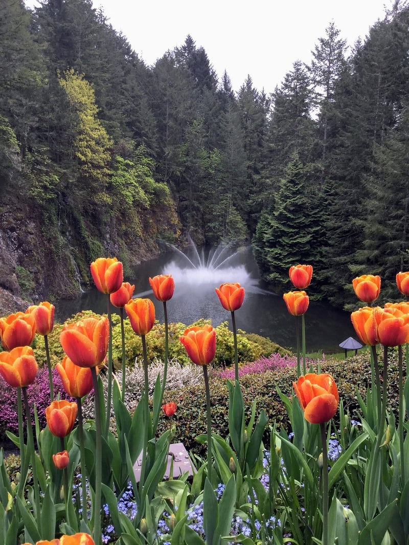 Butchart Gardens, Canada